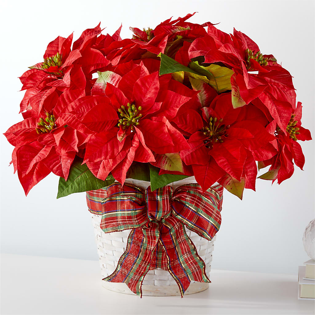 Happiest Holidays Poinsettia – Grayson Florist And Gifts, Independence VA