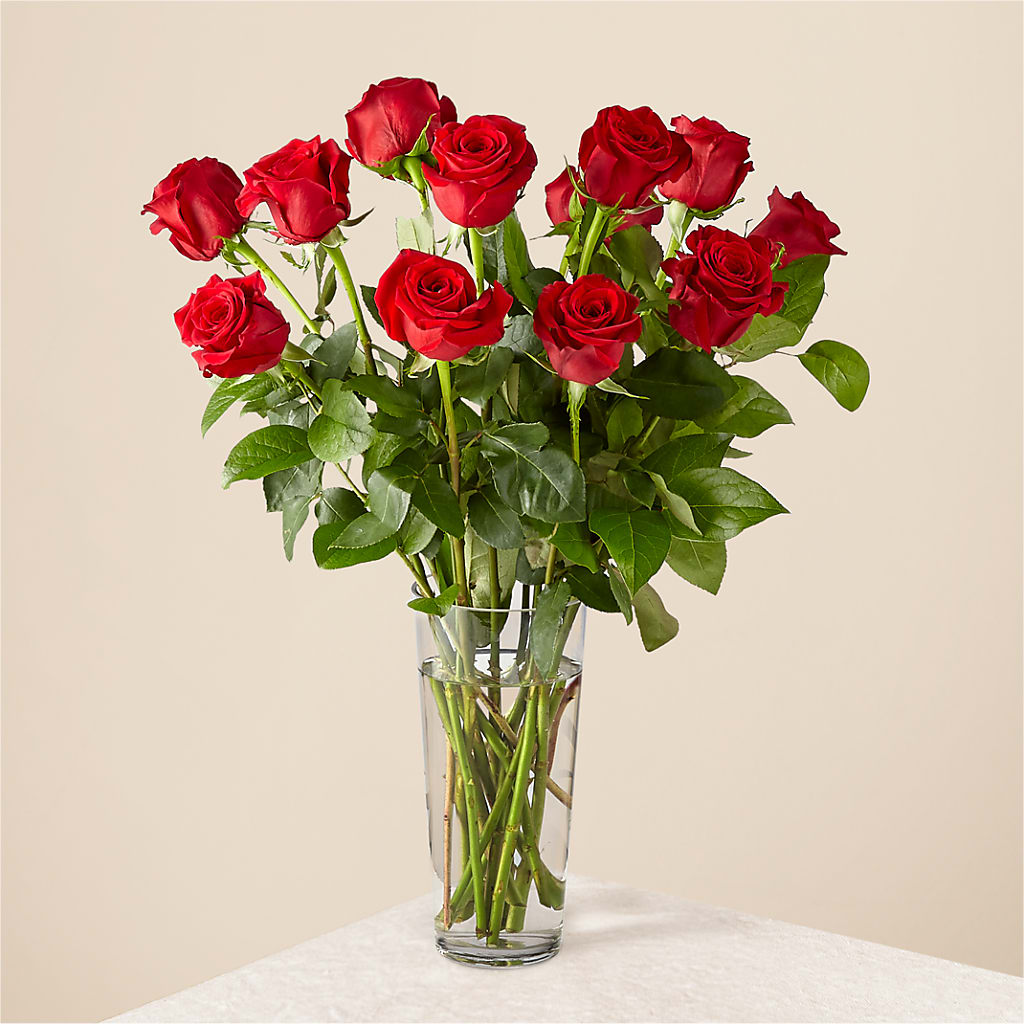 Long Stem Red Rose Bouquet – Grayson Florist And Gifts, Independence VA