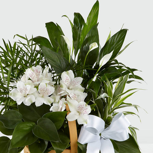 Peace & Serenity Dishgarden – Grayson Florist And Gifts, Independence VA