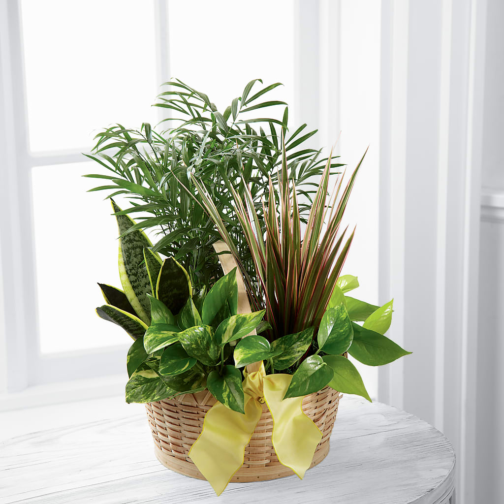 French Garden – Grayson Florist And Gifts, Independence VA