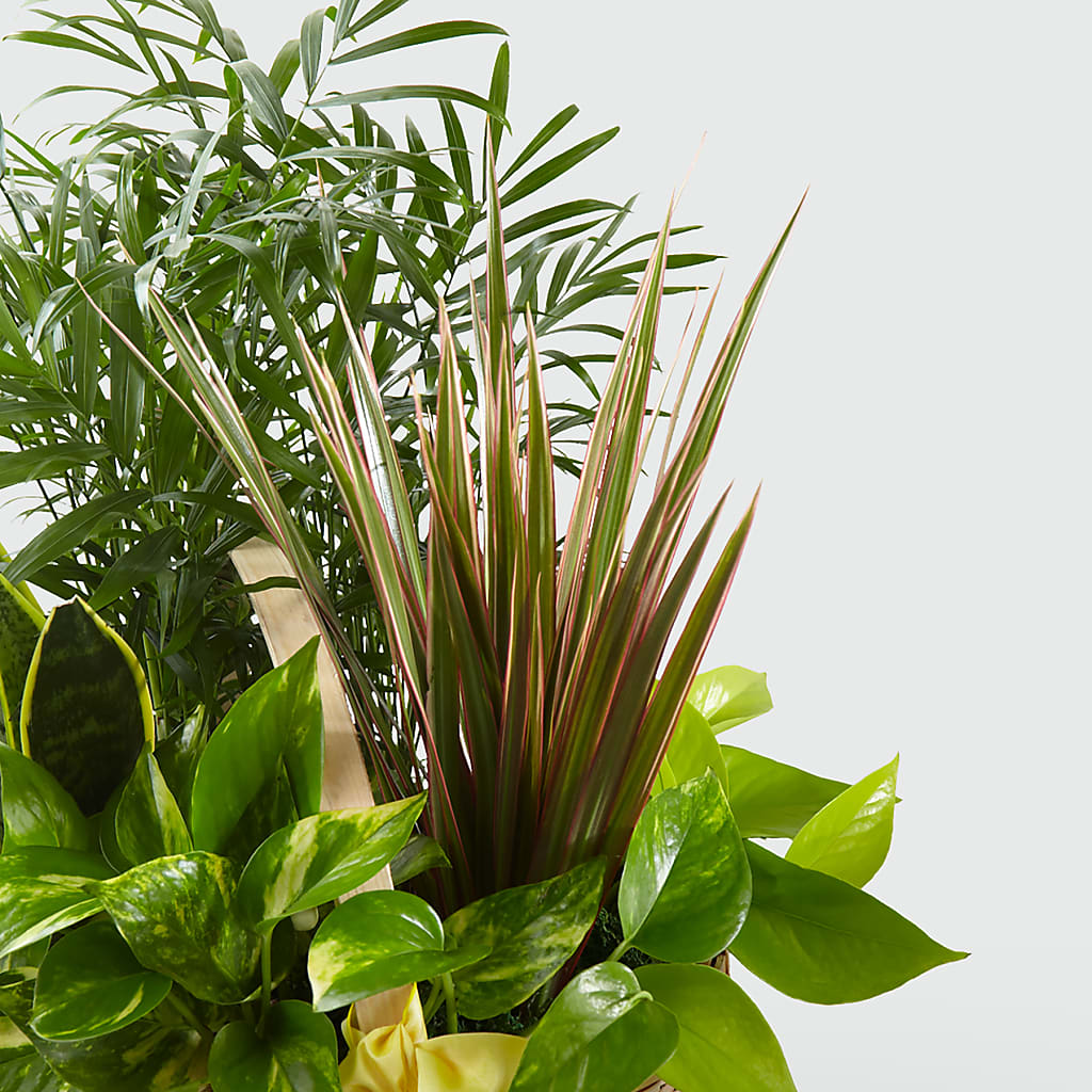 French Garden – Grayson Florist And Gifts, Independence VA