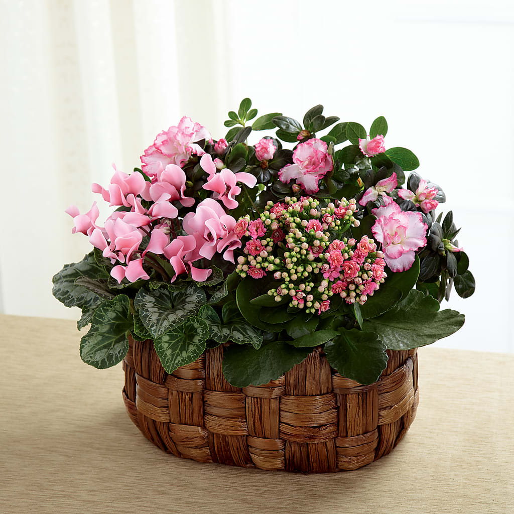 Pink Assortment – Grayson Florist And Gifts, Independence VA