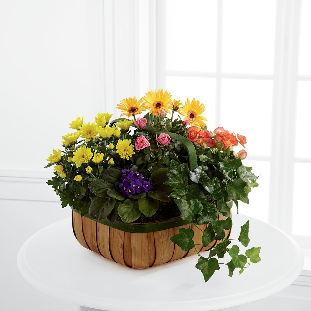 Gentle Blossoms Basket – Grayson Florist And Gifts, Independence VA