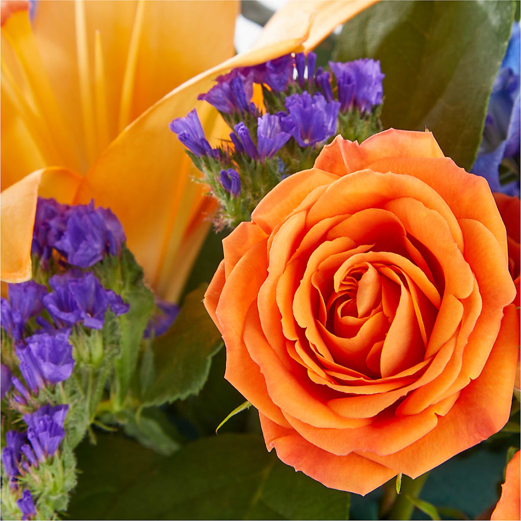 Radiant Citrus Box Bouquet – Grayson Florist And Gifts, Independence VA