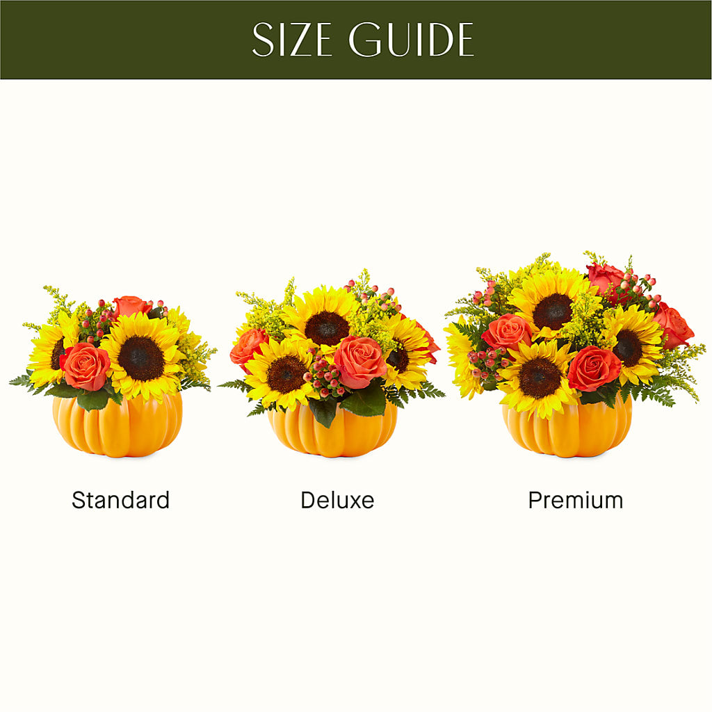 Pick of the Patch Pumpkin Bouquet – Grayson Florist And Gifts, Independence VA