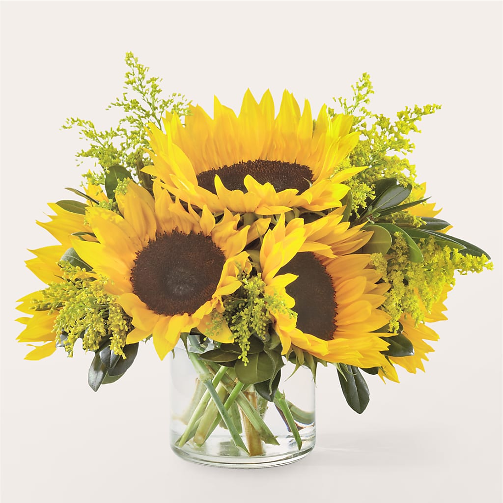 Beaming Sunflower Bouquet – Grayson Florist And Gifts, Independence VA