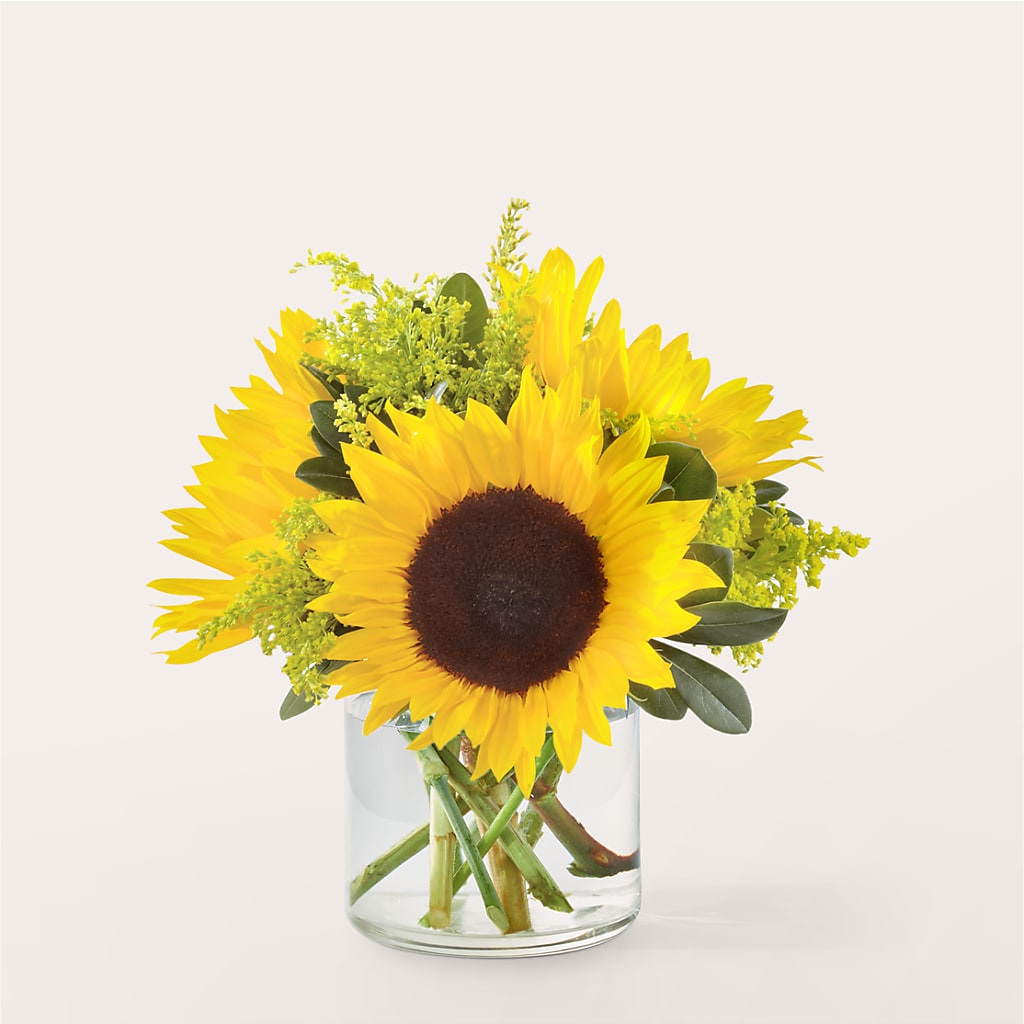 Beaming Sunflower Bouquet – Grayson Florist And Gifts, Independence VA