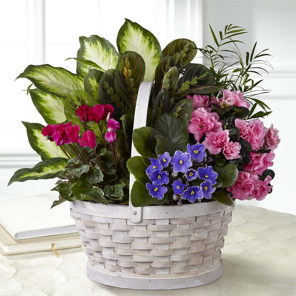 Peaceful Garden Planter – Grayson Florist And Gifts, Independence VA