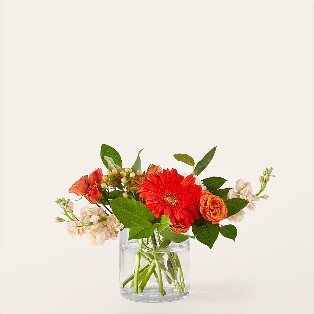 Paloma Please Bouquet – Grayson Florist And Gifts, Independence VA