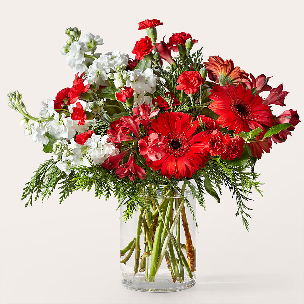 Holidaisy Bouquet – Grayson Florist And Gifts, Independence VA
