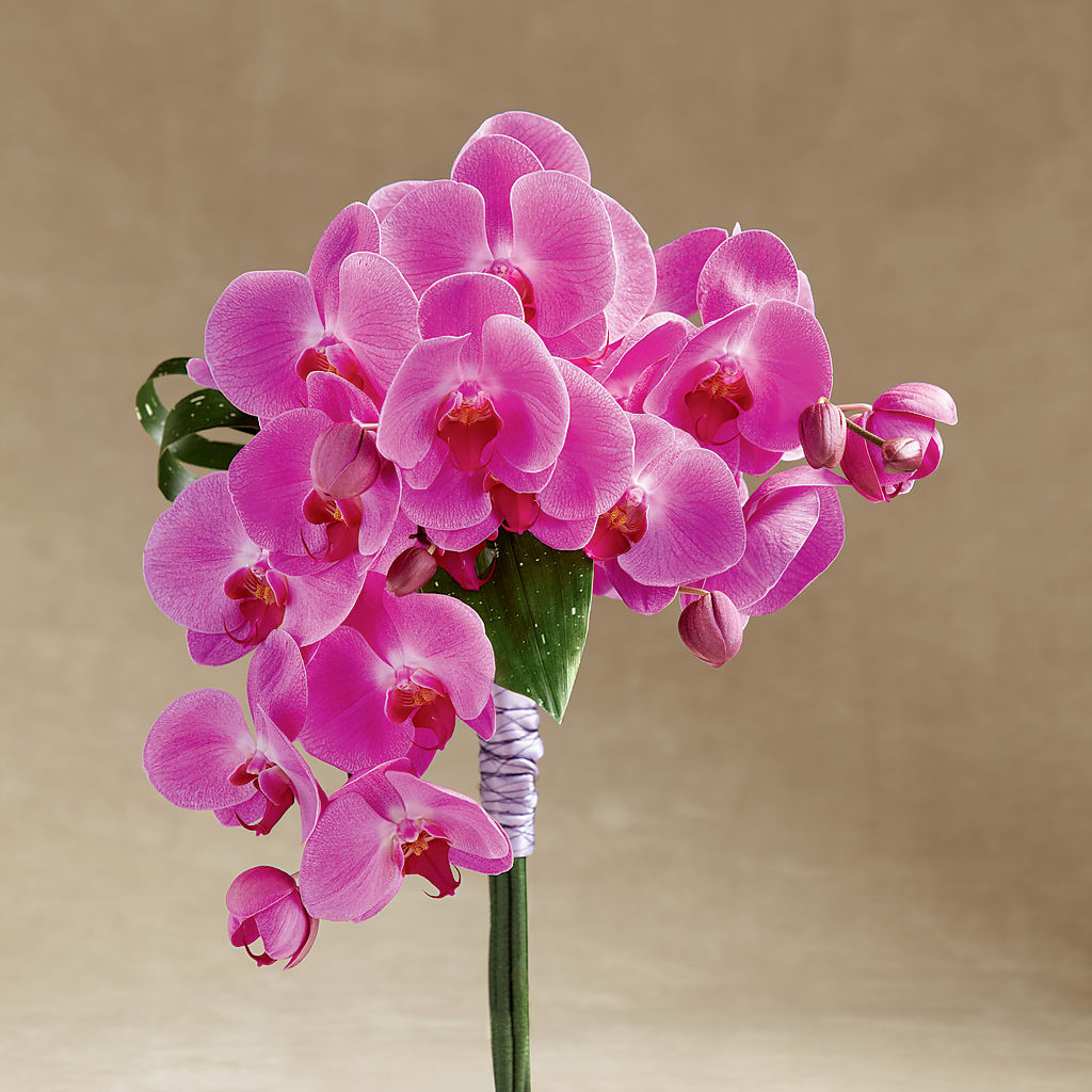 Glorious Bouquet – Grayson Florist And Gifts, Independence VA