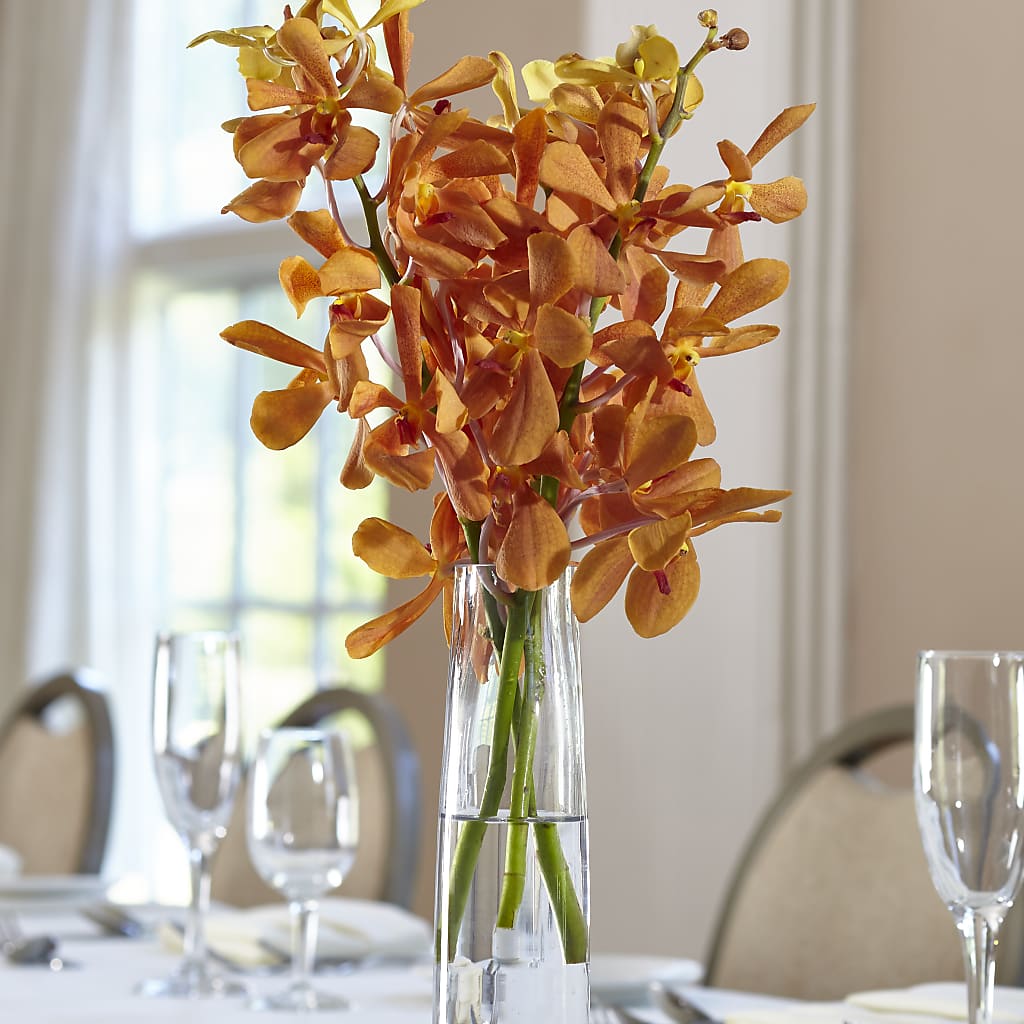 Orange Mokara Bud Vase – Grayson Florist And Gifts, Independence VA