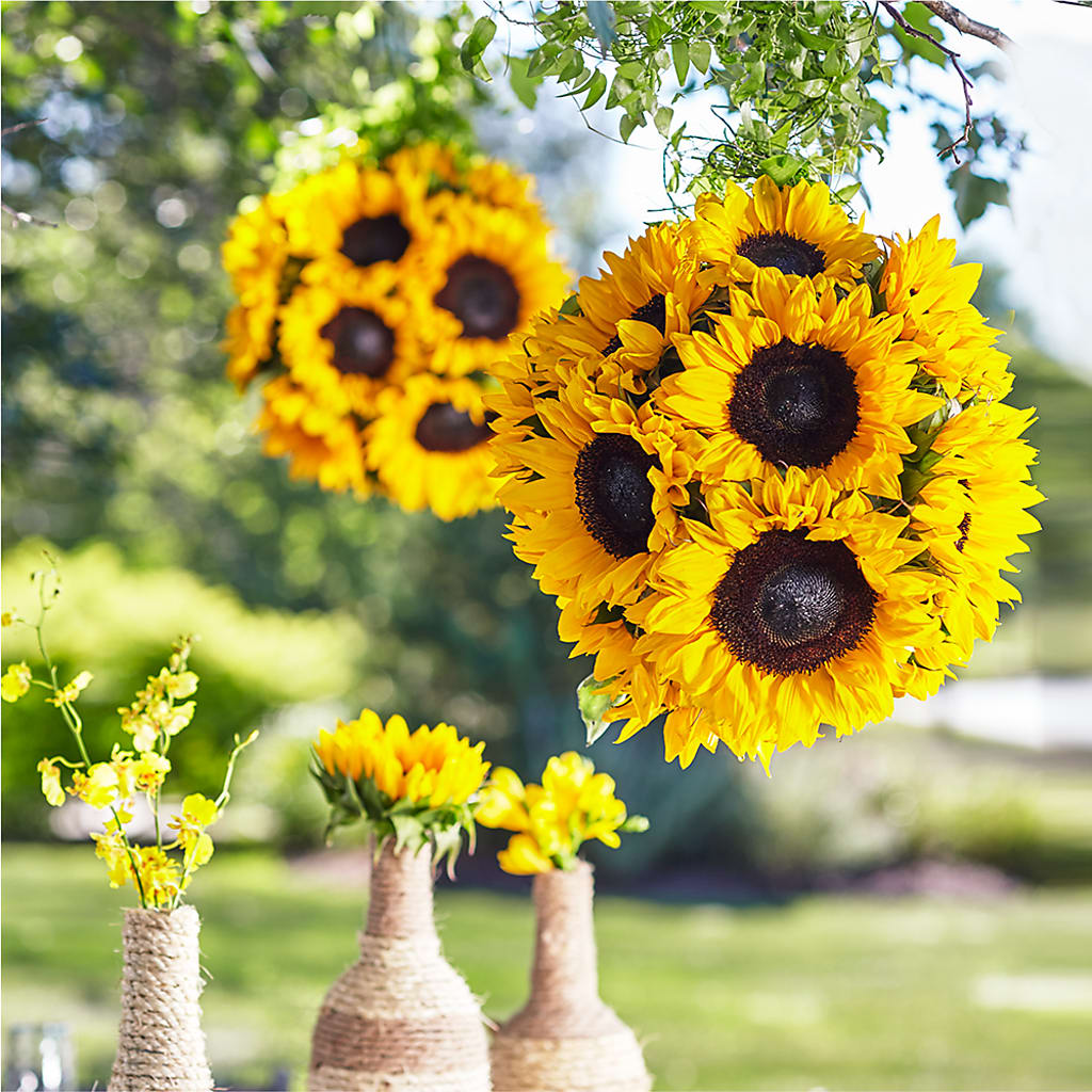 Sublime Garden Hanging Arrangement – Grayson Florist And Gifts, Independence VA