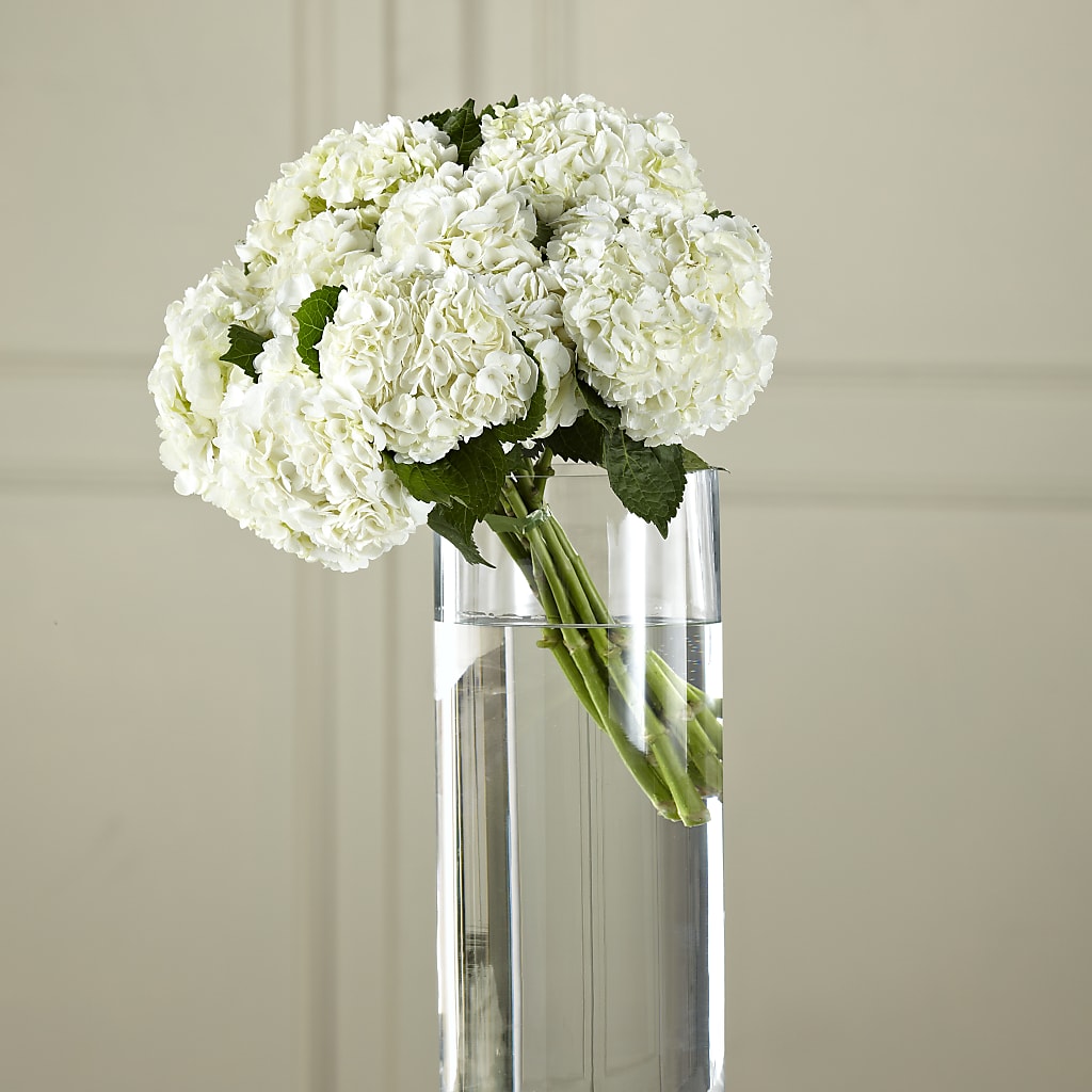 White Hydrangea Hand-Tied Bouquet – Grayson Florist And Gifts, Independence VA