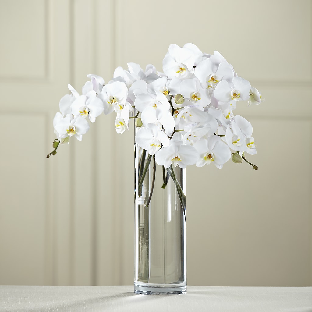 White Phalaenopsis Bouquet – Grayson Florist And Gifts, Independence VA