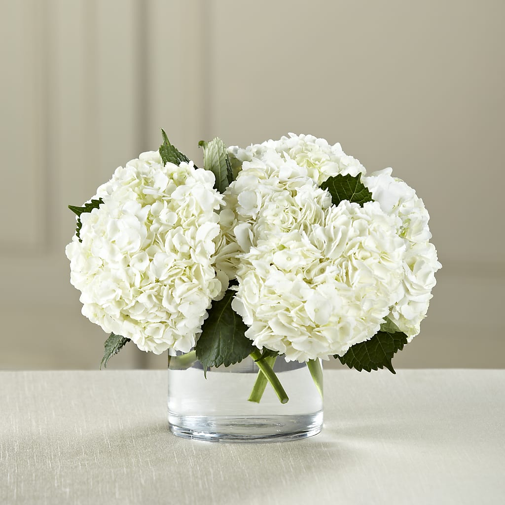 White Hydrangea Bouquet – Grayson Florist And Gifts, Independence VA