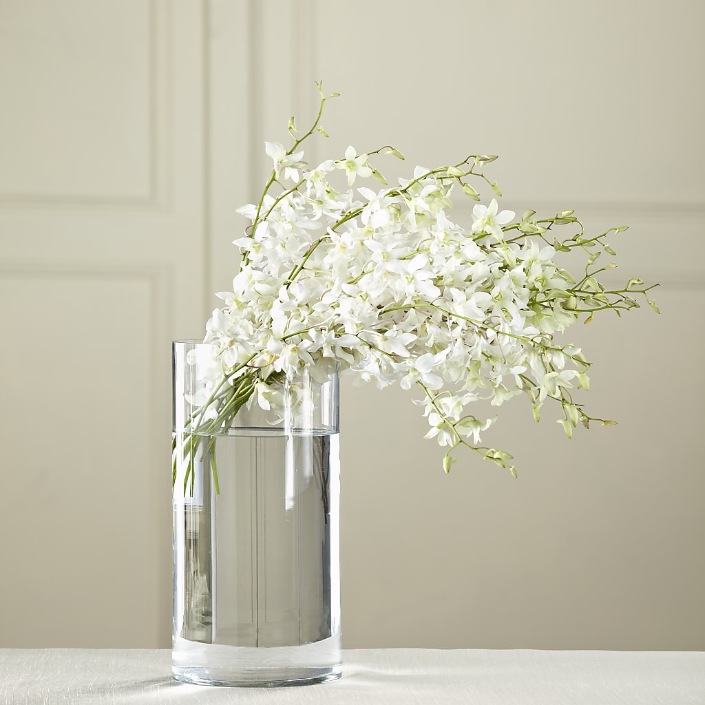 White Dendrobium Bouquet – Grayson Florist And Gifts, Independence VA