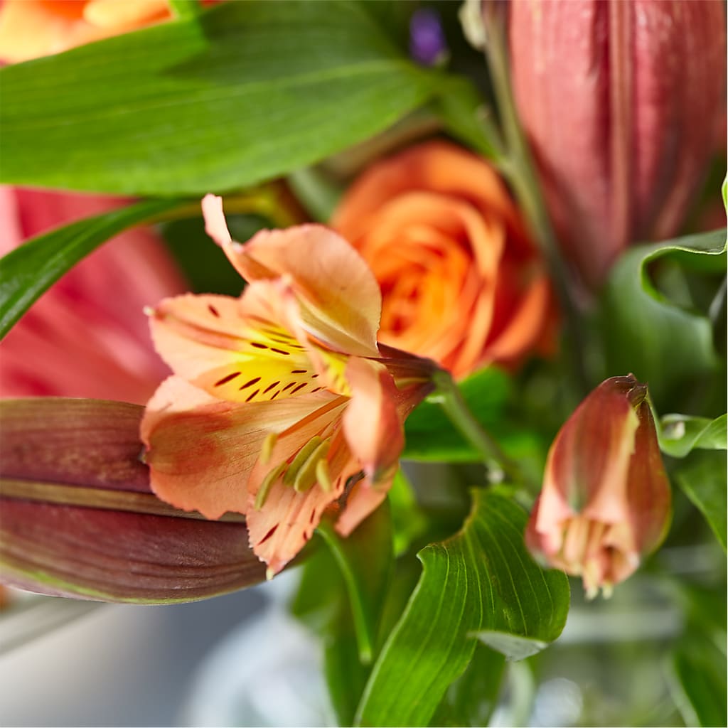 Bold & Bright – A Florist Original –  Grayson Florist And Gifts, Independence VA