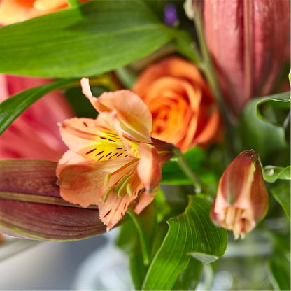 Bold & Bright – A Florist Original –  Grayson Florist And Gifts, Independence VA