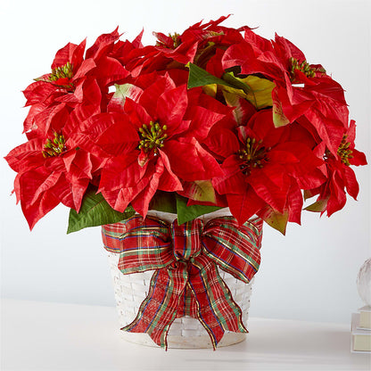 Happiest Holidays Poinsettia –  Grayson Florist And Gifts, Independence VA