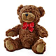 Adorable Plush Bear –  Grayson Florist And Gifts, Independence VA