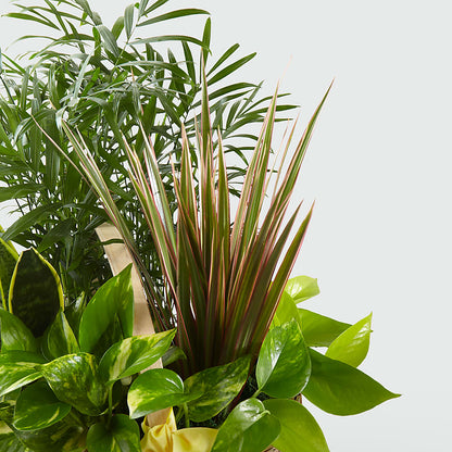 French Garden –  Grayson Florist And Gifts, Independence VA