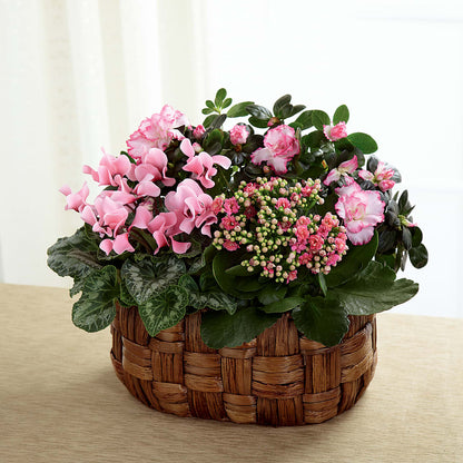 Pink Assortment –  Grayson Florist And Gifts, Independence VA