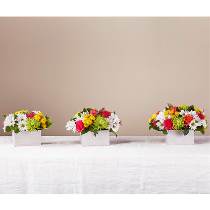 Sorbet Bouquet –  Grayson Florist And Gifts, Independence VA