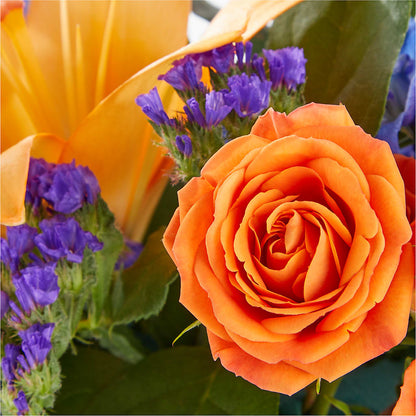 Radiant Citrus Box Bouquet –  Grayson Florist And Gifts, Independence VA