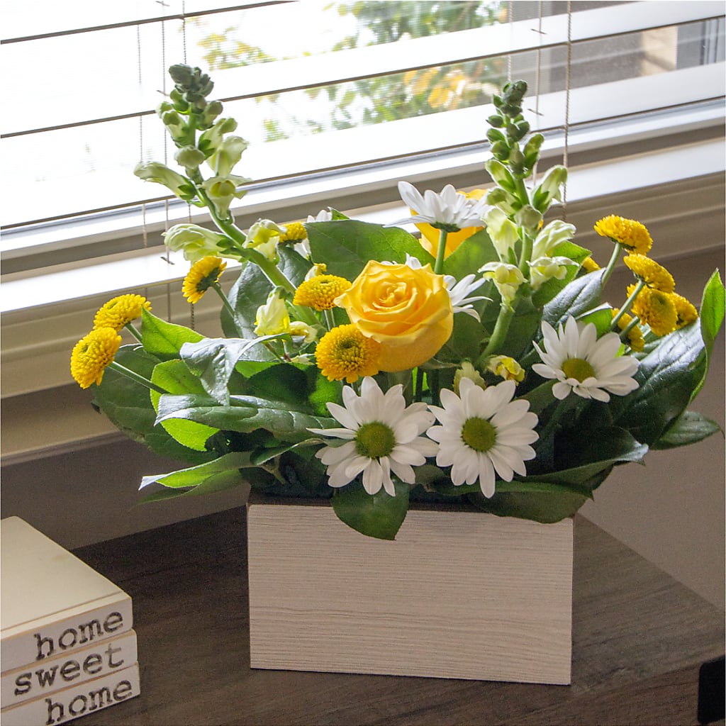 Sun Salutation Box Bouquet –  Grayson Florist And Gifts, Independence VA