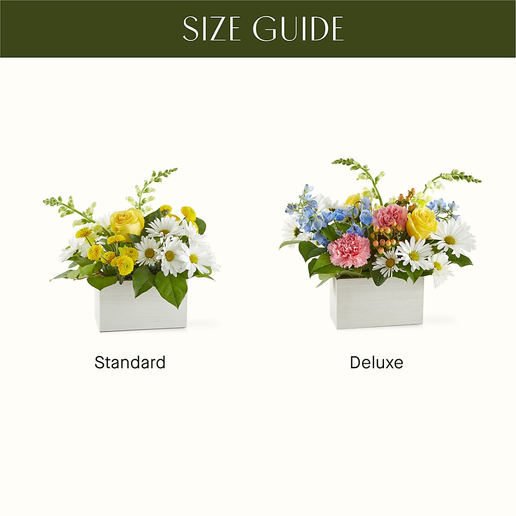 Sun Salutation Box Bouquet –  Grayson Florist And Gifts, Independence VA