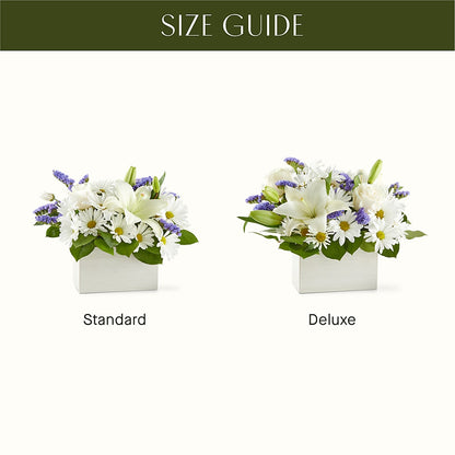 Beyond Blue Box Bouquet –  Grayson Florist And Gifts, Independence VA