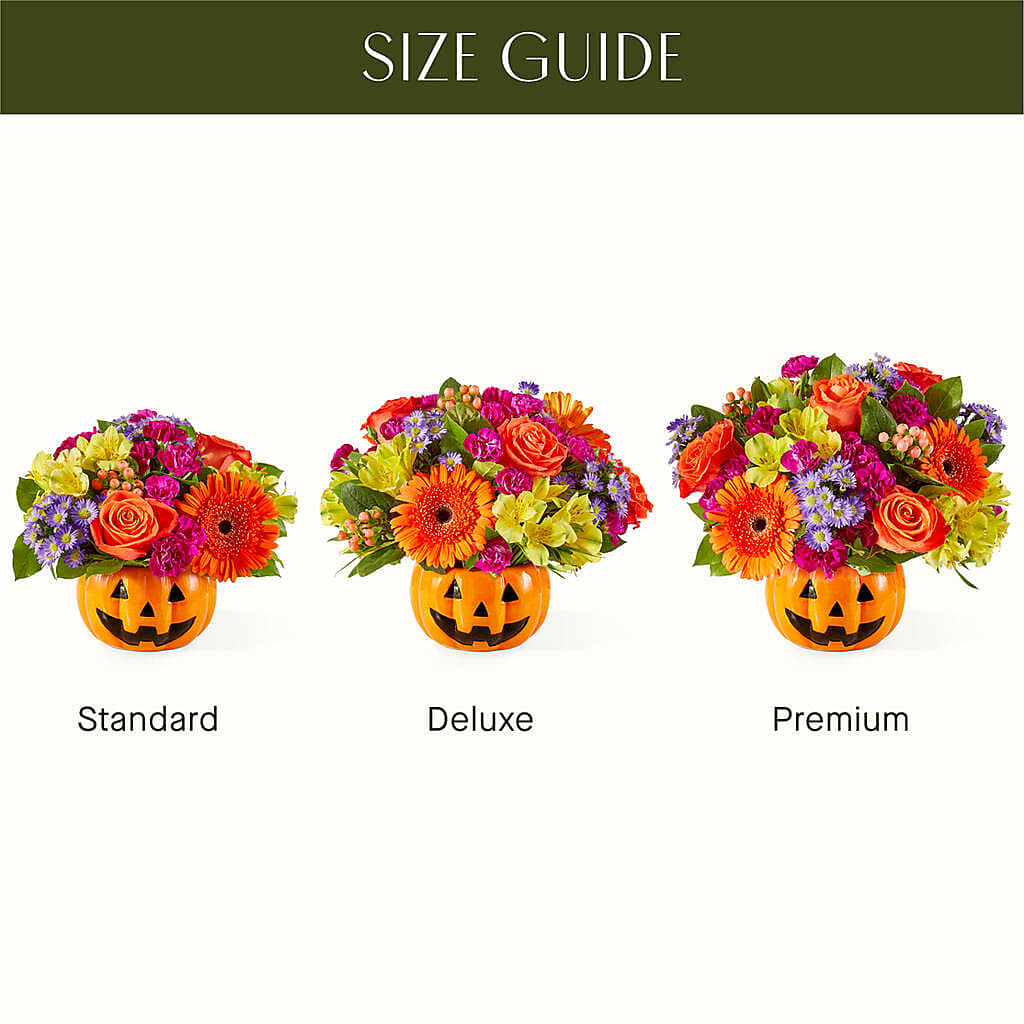 Tricks & Treats Pumpkin –  Grayson Florist And Gifts, Independence VA