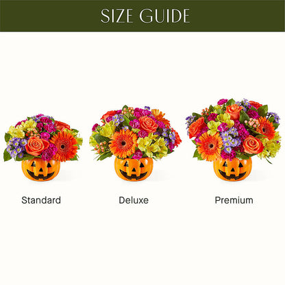 Tricks & Treats Pumpkin –  Grayson Florist And Gifts, Independence VA