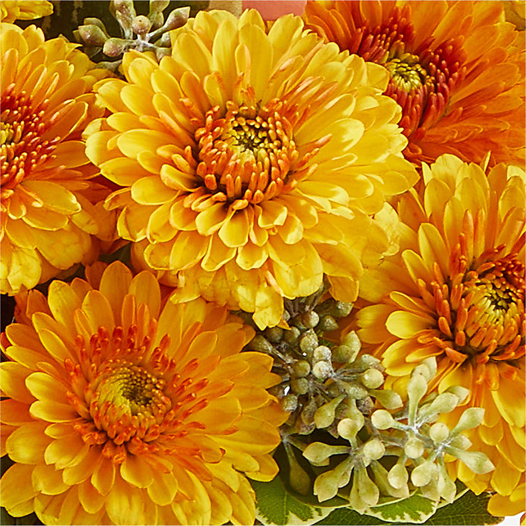 Peachy Pumpkin –  Grayson Florist And Gifts, Independence VA