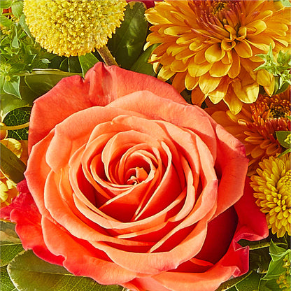 Gourdgeous Pumpkin –  Grayson Florist And Gifts, Independence VA