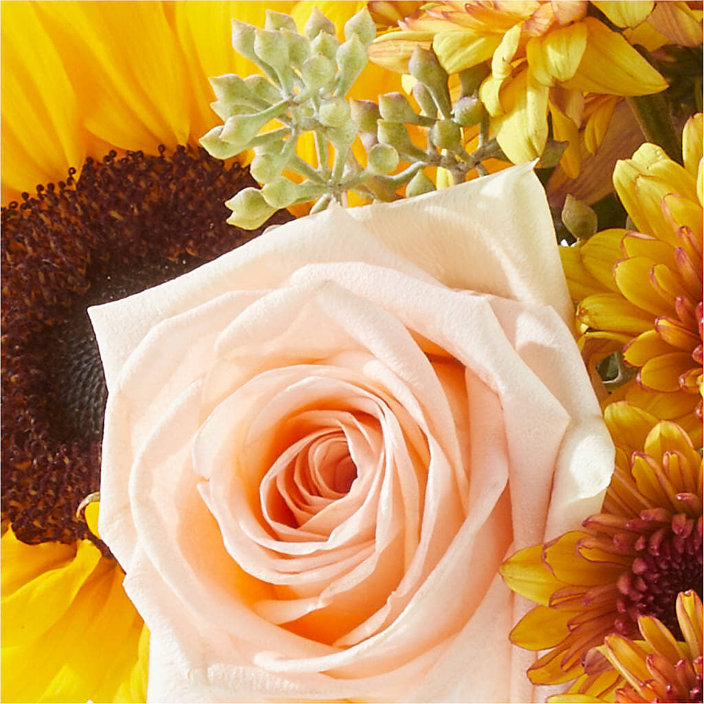 Pumpkin to Talk About Bouquet –  Grayson Florist And Gifts, Independence VA