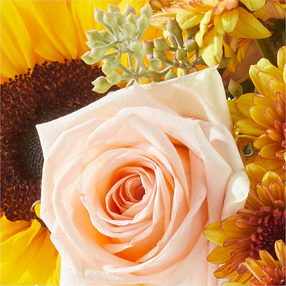 Pumpkin to Talk About Bouquet –  Grayson Florist And Gifts, Independence VA