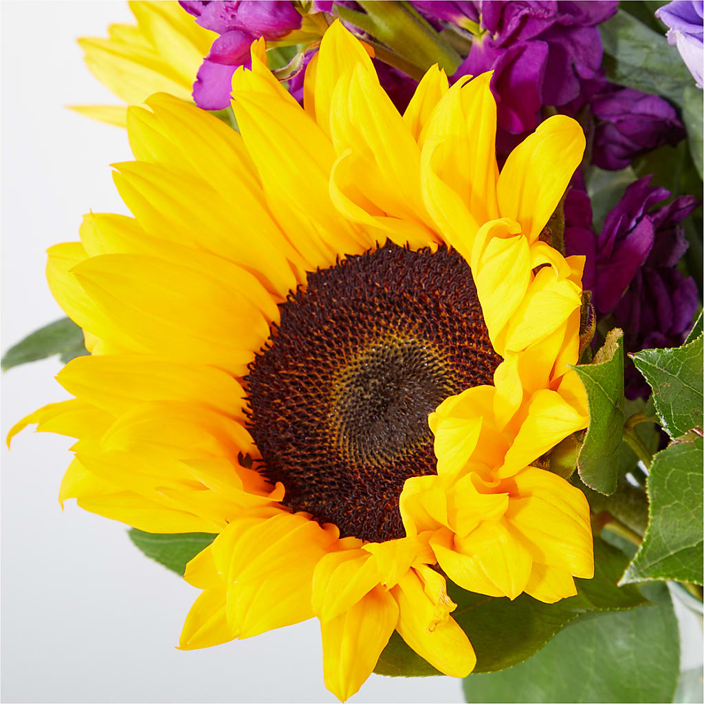 Catching Rays Bouquet –  Grayson Florist And Gifts, Independence VA