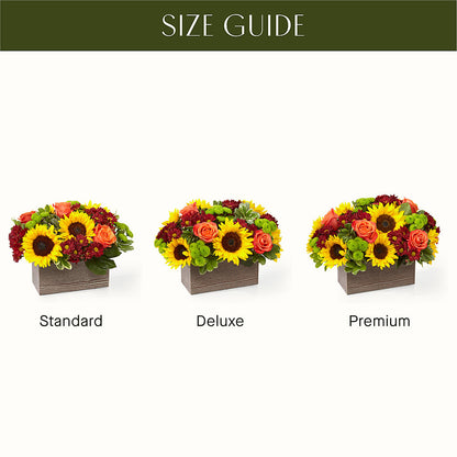 Happy Harvest Garden –  Grayson Florist And Gifts, Independence VA