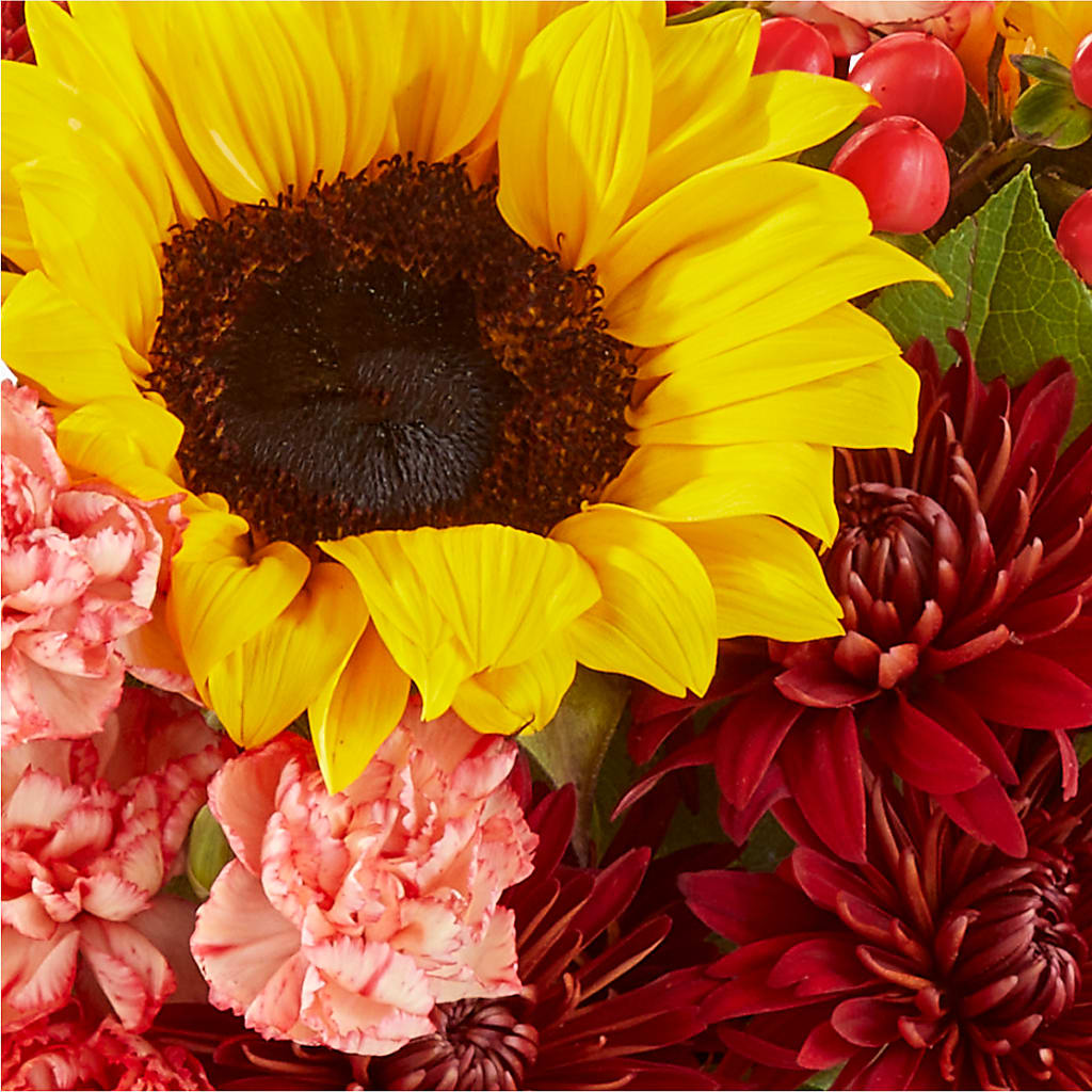 Fresh Cider Bouquet –  Grayson Florist And Gifts, Independence VA