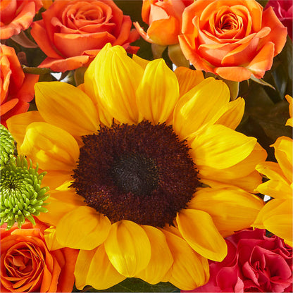 Sun-drenched Blooms Box Bouquet –  Grayson Florist And Gifts, Independence VA