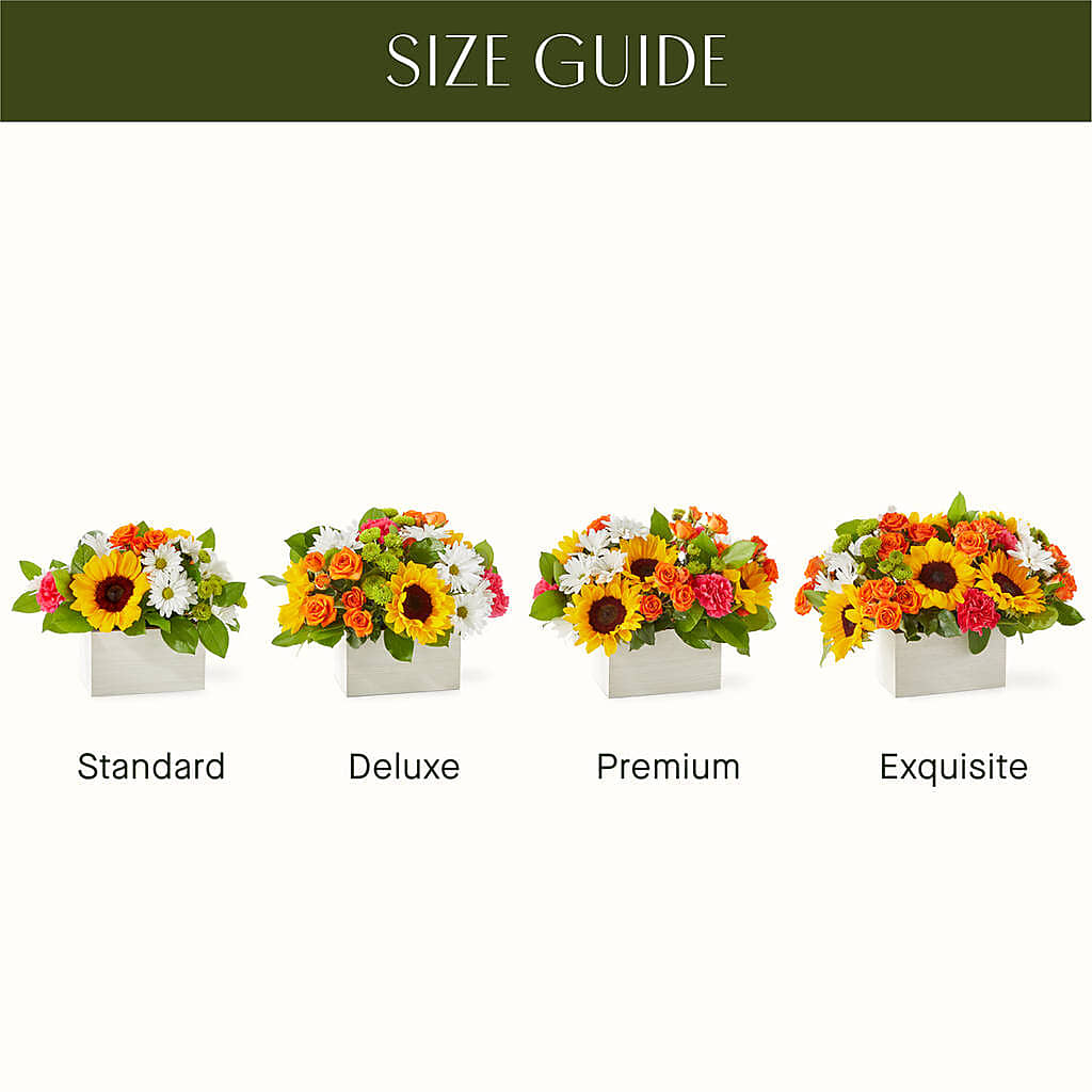 Sun-drenched Blooms Box Bouquet –  Grayson Florist And Gifts, Independence VA