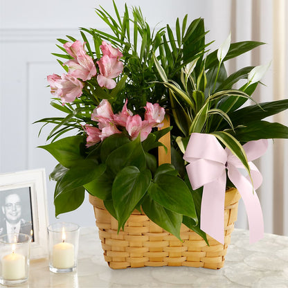 Living Spirit Dishgarden –  Grayson Florist And Gifts, Independence VA