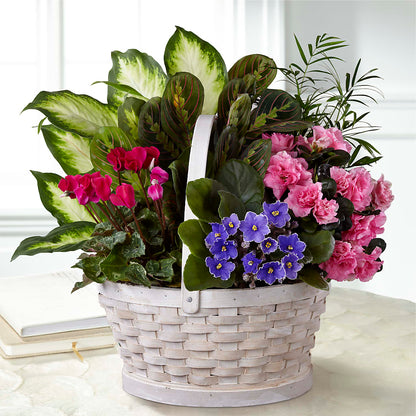 Peaceful Garden Planter –  Grayson Florist And Gifts, Independence VA
