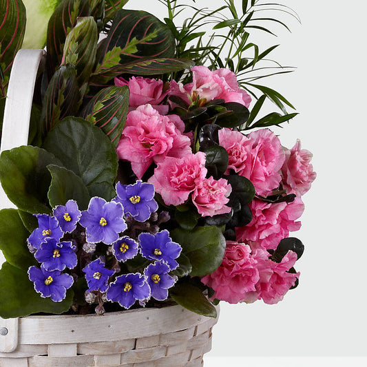 Peaceful Garden Planter –  Grayson Florist And Gifts, Independence VA