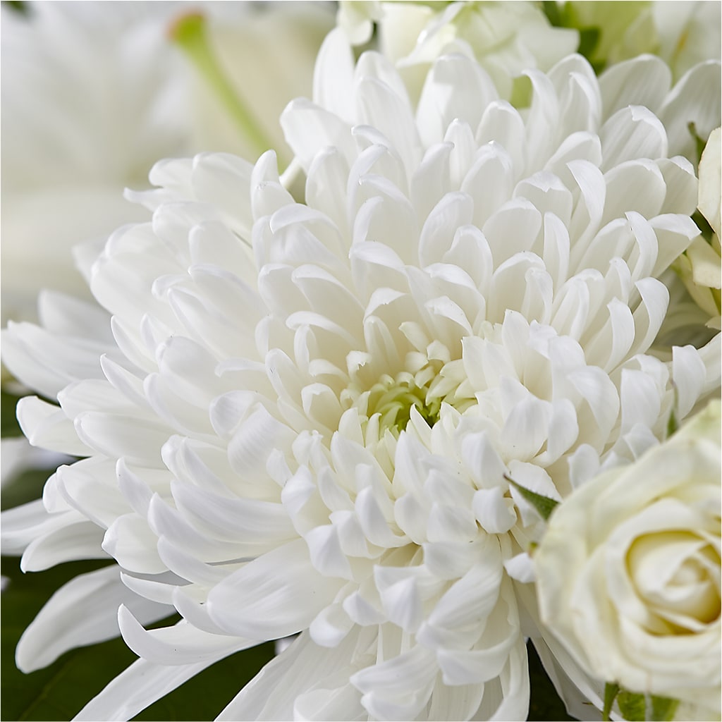 Classic Ivory – A Florist Original –  Grayson Florist And Gifts, Independence VA