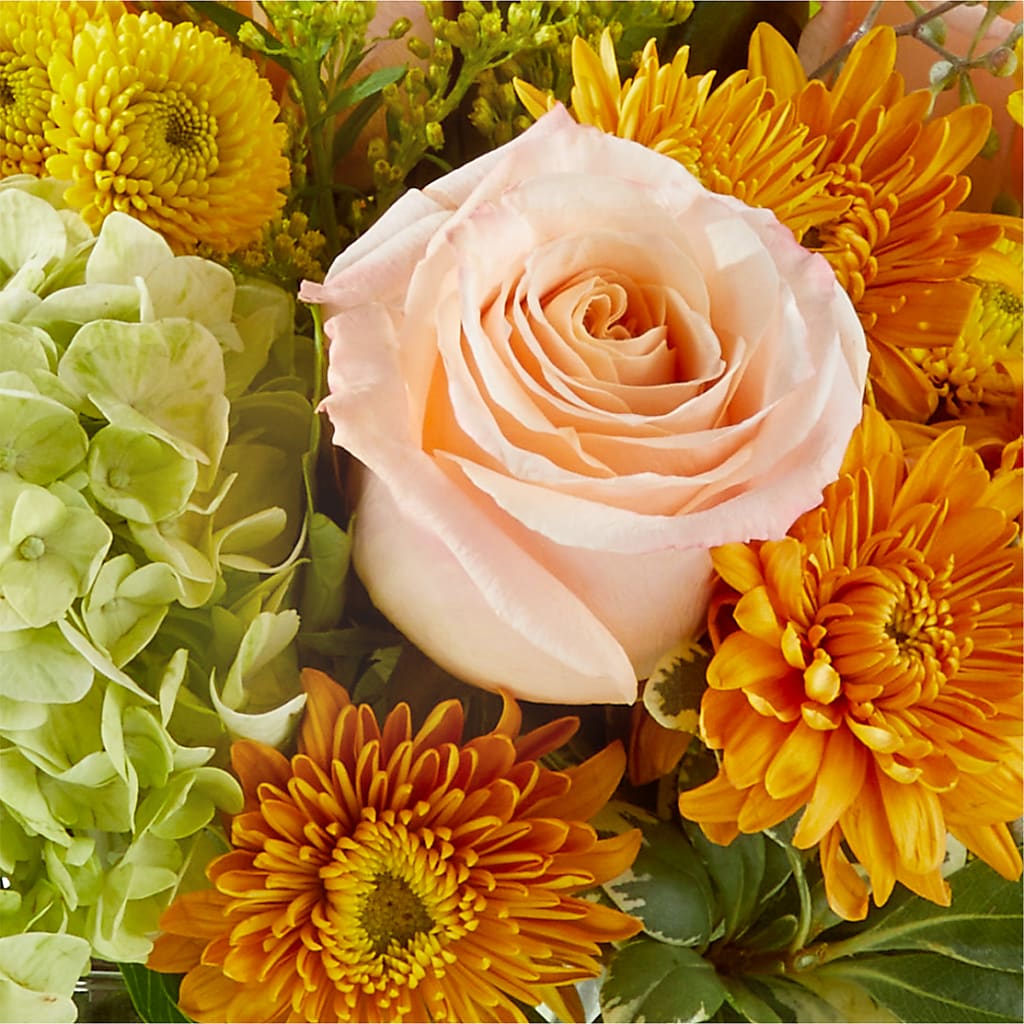 Fall Foliage Bouquet –  Grayson Florist And Gifts, Independence VA