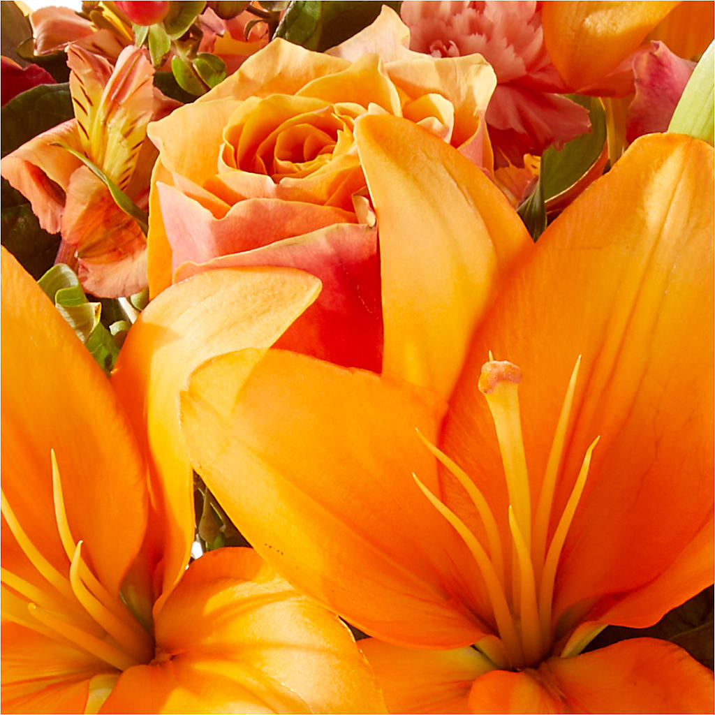 Afternoon Light Bouquet –  Grayson Florist And Gifts, Independence VA