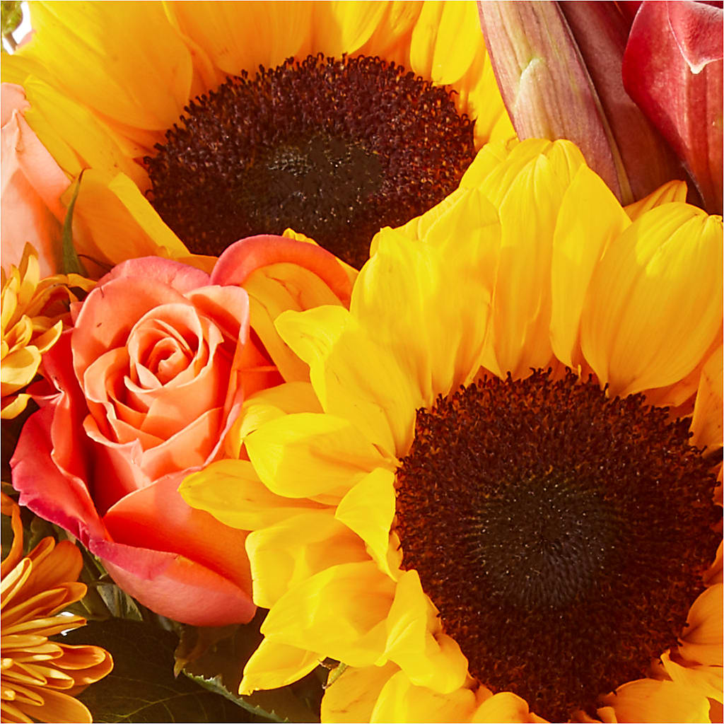 Acorn Lane Bouquet –  Grayson Florist And Gifts, Independence VA